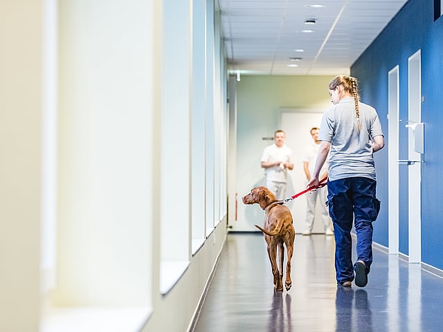 Osoba spacerująca z psem po korytarzu.