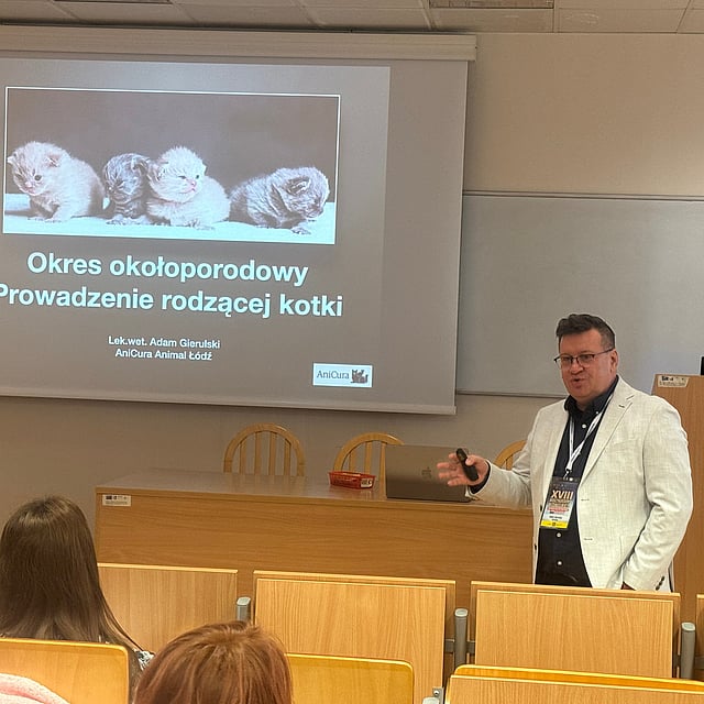 Osoba stojąca przed ekranem.
