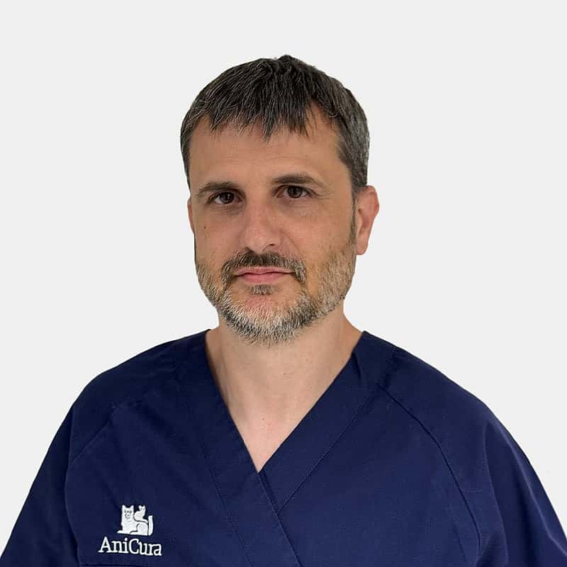 Sebastian Dziak