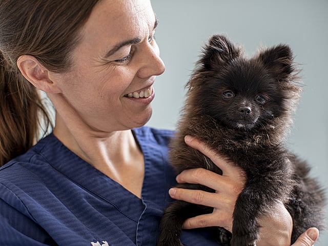 Osoba trzymająca małego psa.