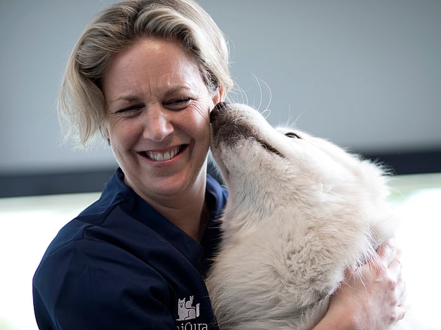 Osoba trzymająca psa.