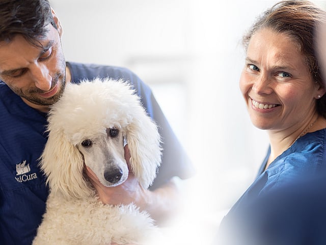 Osoba i osoba trzymająca psa.