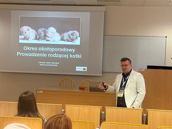 Osoba stojąca przed ekranem.